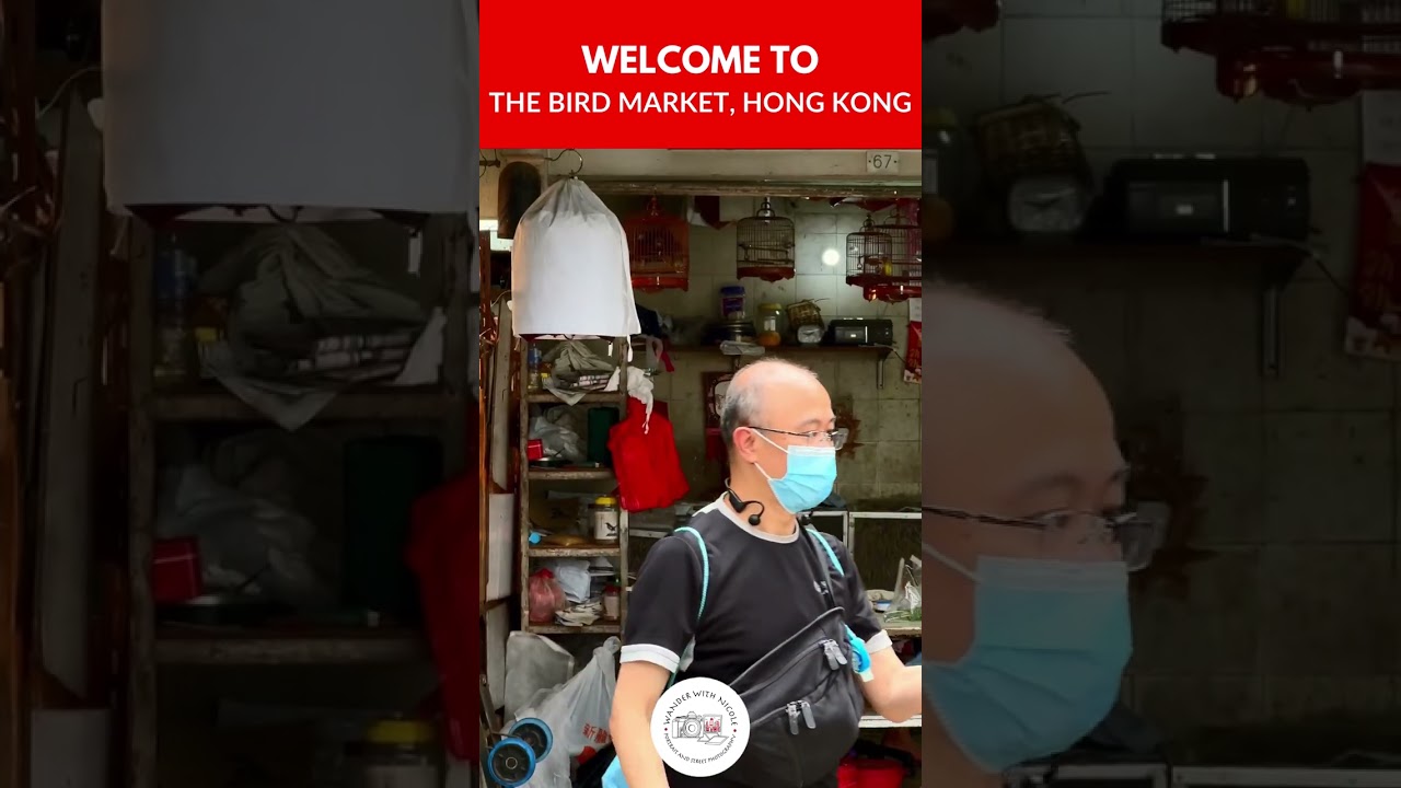 YouTube Short thumbnail