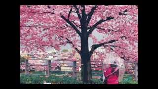 Richard Clayderman - Exodus