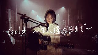 Gold  ～また逢う日まで～ / 宇多田ヒカル Cover by 野田愛実(NodaEmi)【映画『キングダム 運命の炎』主題歌】