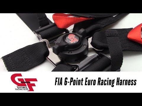 In the Garage™ with Parts Pro™: G-FORCE Racing Gear FIA 6pt Euro Cam Racing Harness