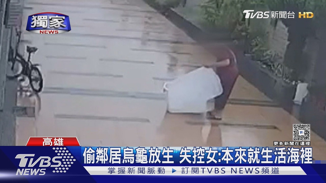 影音/獨/偷烏龜放生、闖百年廟撒香灰! 失控女前科多 家屬無奈