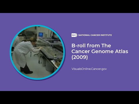 B-roll from The Cancer Genome Atlas (2009)