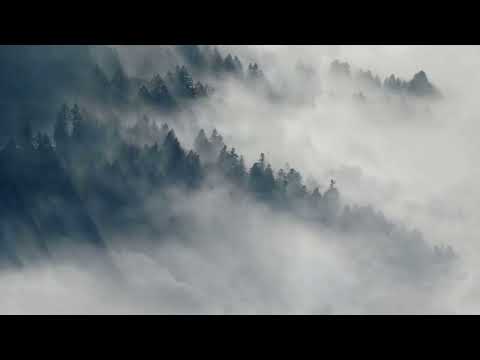 Náhled videa Virtual Insanity Camp - Ozzy's last song