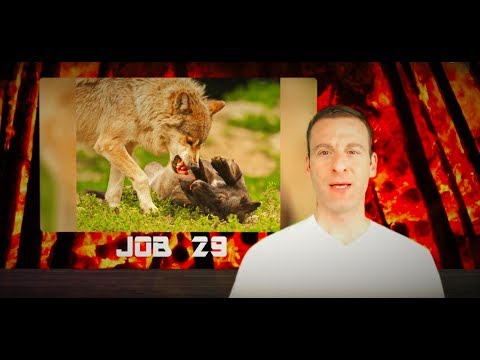 Job Chapter 29 Summary and What God Wants From Us