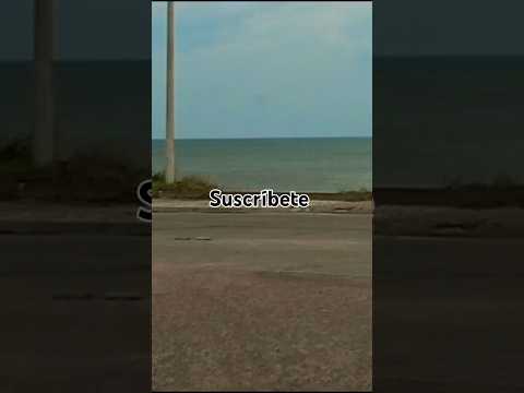 Naturaleza 💚 Playa 🏖️ La Floresta, Canelones, Uruguay 🇺🇾