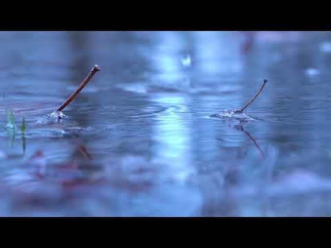 Fractal Beef - Loam (Official Video)