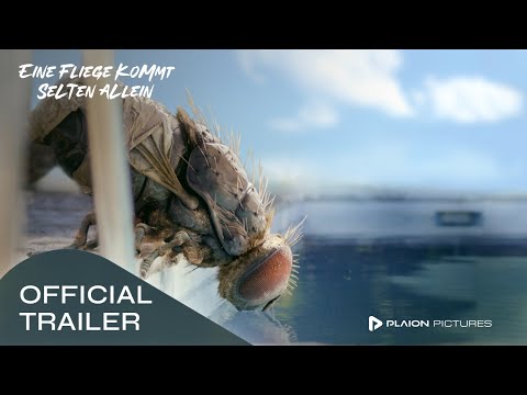 Trailer-Vorschau: Eine Fliege kommt selten allein