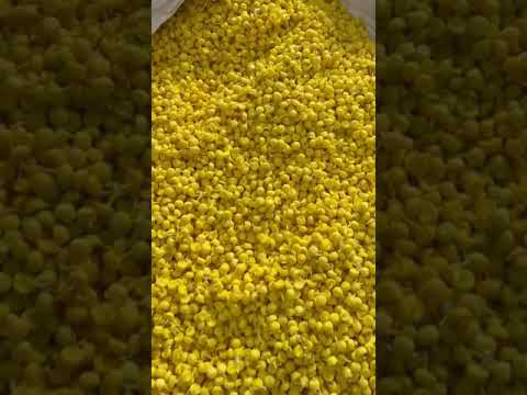 Round Ghee Cotton Wicks