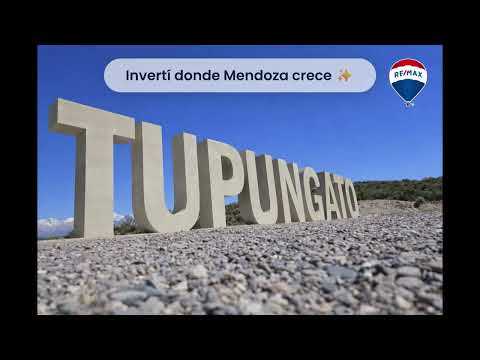 Galpón en Venta en Tupungato 2 hectáreas terreno