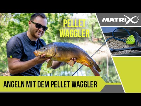 ***MATCH ANGELN TV***PELLET WAGGLER BASICS I FELIX SCHEUERMANN I