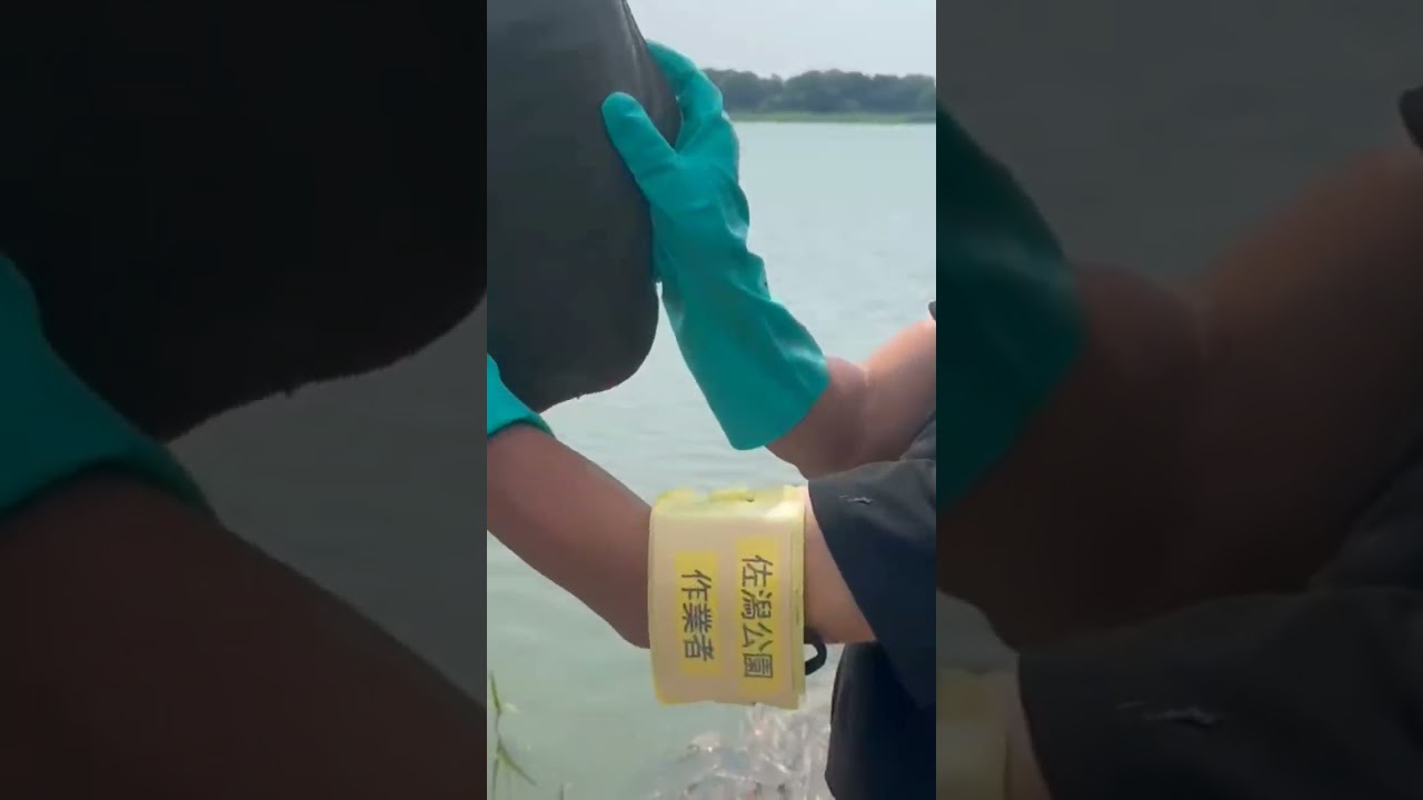 猛暑日に罠を仕掛けたらとんでもない物が！！！