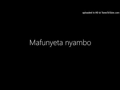 Mafunyeta nyambo