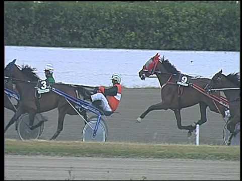 Trotto 09/06/2016 - 1° corsa