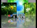 TVN PROMO 2011