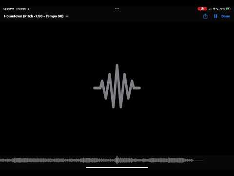 Twenty One Pilots - Hometown (Slowed + Reverb + Invert Stereo)