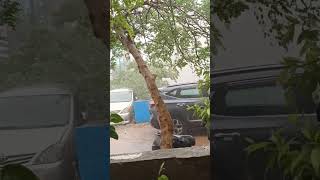 Download lagu After the  Rain, the sun   will reappear. There is life. After the pain, the joy will still be here mp3