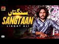 Sangtaan | Liaqat Ali | New Saraiki Song 2020 | TP Gold