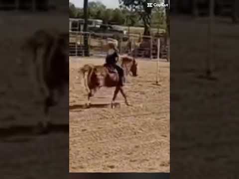 Skylar and blaze galloping home! @Sr_barrel_racing