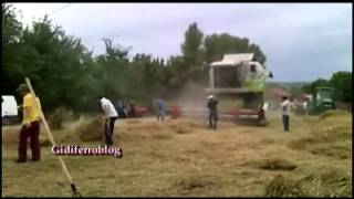 preview picture of video 'Jelsi, Festa della Trebbiatura del Grano'