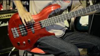 Video thumbnail for Aria Pro II IGB STD by Surin Vintage