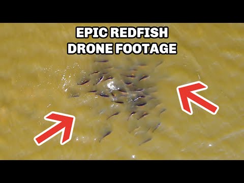 How To Find And Catch Schooling Redfish [Epic Drone Footage]
