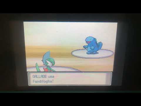 Pokémon Platino - Sfida contro Capopalestra Omar