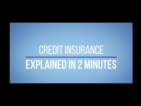 Trade Credit Insurance Explained in 2 Minutes