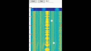 Radwave Intro - We're in Beta!