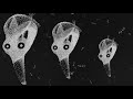Yoko Ono - Teddy Bear (Lyric Video)