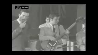 The Swinging Blue Jeans - You' Re No Good video