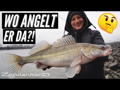 Wo angel ich hier? Auf was du wirklich achten solltest! / ZANDERANGELN