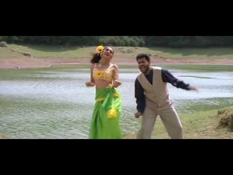 Manja Kaattu Maina.avi