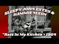 Sleepy John Estes & Hammie Nixon • “Rats In My Kitchen” • 1964 [Reelin' In The Years Archive]