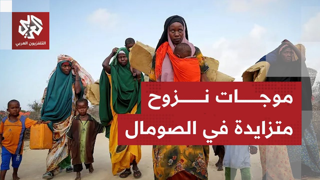 الاشتباكات في الصومال تدمر المزارع وتفاقم خسائر الأسر الريفية وتزيد من موجا?