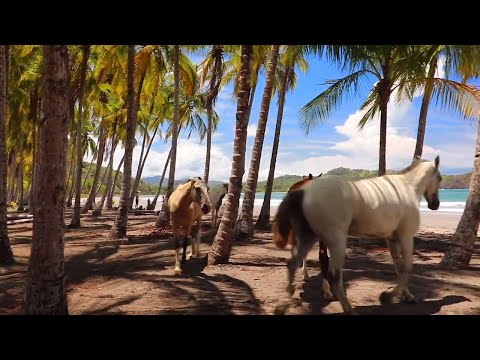 Complete Restoration // Body Mind And Spirit Healing // Raise Your Consciousness // NEW VIDEO 2021