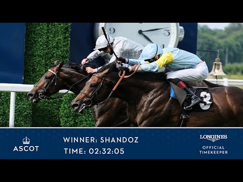 Shandoz Wins The Alistair Haggis Memorial Handicap Stakes