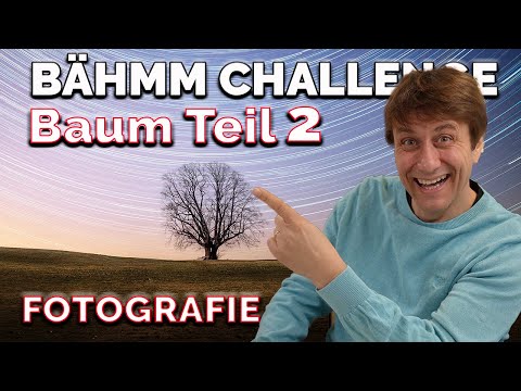 📸  Faszination Baum Fotografie Teil 2 - Bähmm Challenge
