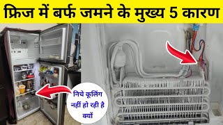 Samsung double door refrigerator down part not cooling