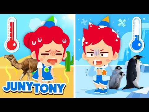 🔥❄️ Hot vs. Cold | Polar Region Animals vs. Desert Animals | Kids Songs | JunyTony