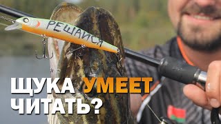 Воблеры akara arrow 110 sp цвет а70