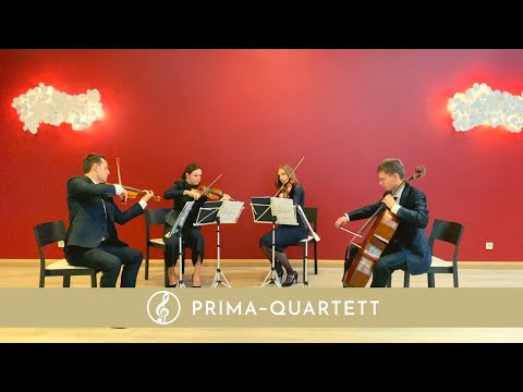 Ave Verum Corpus | Mozart | Streichquartett Cover {Live}