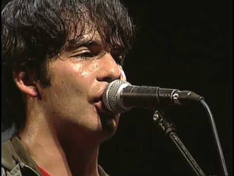 Los Bunkers Vida de Perros Concierto