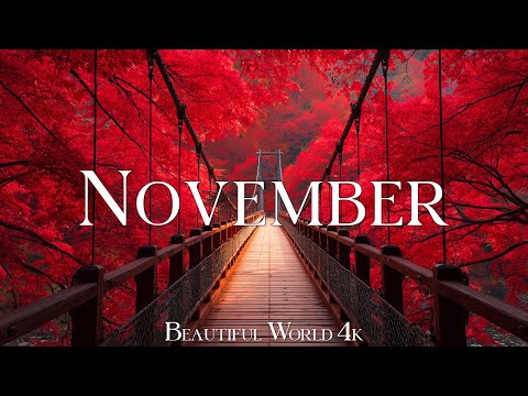 November in Autumn 4K – The Last Colors of Autumn | Peaceful Relaxing Nature Film🍂