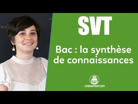 La synthèse des connaissances au bac