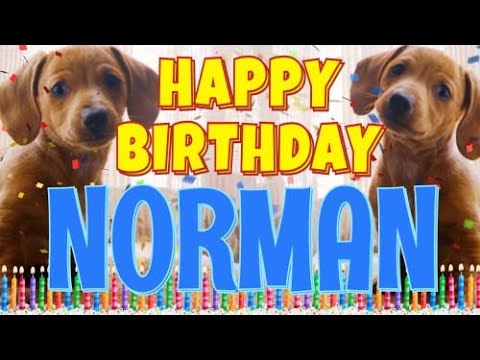Happy Birthday Norman! ( Funny Talking Dogs ) What Is Free On My Birthday