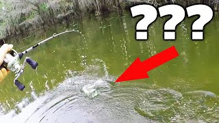 My FIRST TIME Catching This Fish! Realistic Bass Fishing Trip (Texas)
