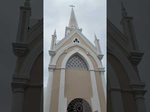 ⛪ Festa de Nossa Senhora da Conceição - Recife 2025
