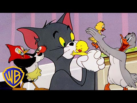 Tom & Jerry | Animal Moms! 🦆🐔 | @wbkids