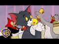 Tom Jerry Animal Moms Wbkids