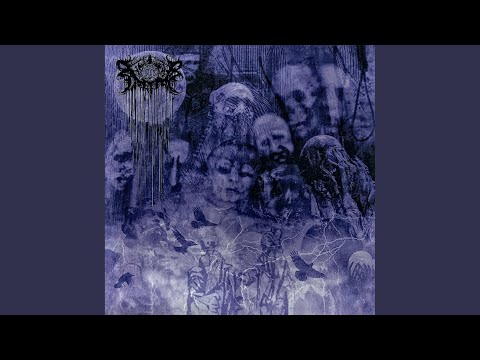 Horizon of Plastic Caskets